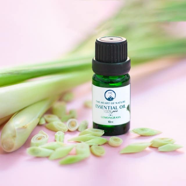 Essential oils sitting on a table with plants 