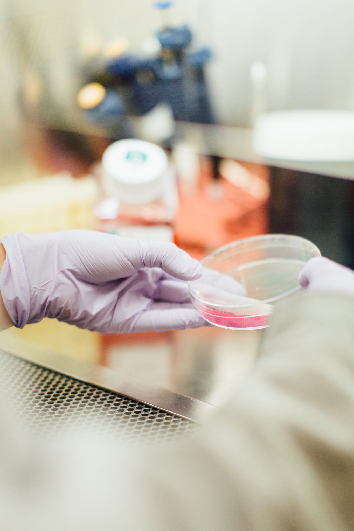 Scientist looking at a petri dish